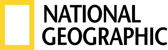 shape