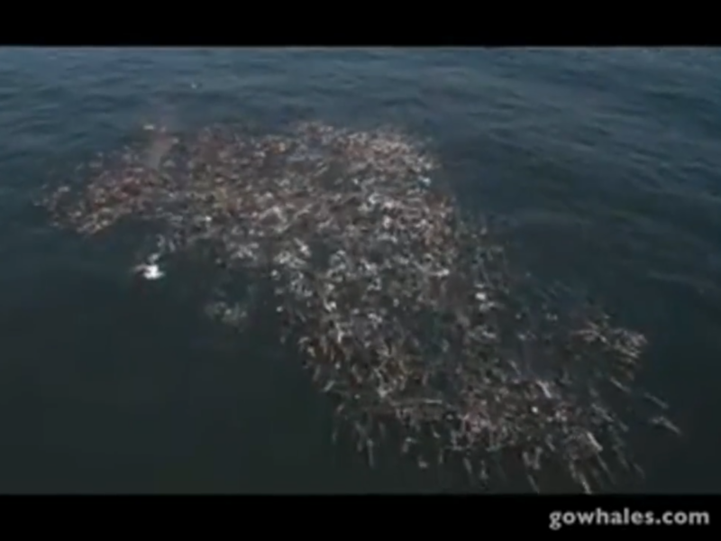 a view of the ocean